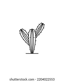 Cactus Plant line art  Vector isolated on white background. cactus plant outline vector isolated on white. 
