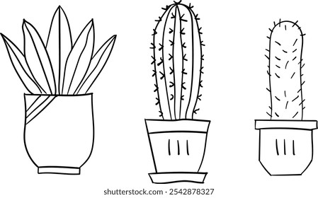 Cactus Plant Line Art Vector Illustration
