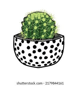 Cactus Plant in a mug pot