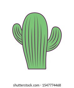 cactus plant nature isolated icon vector illustration design