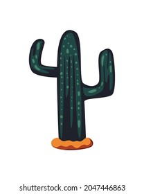 planta de cactus sobre fondo blanco