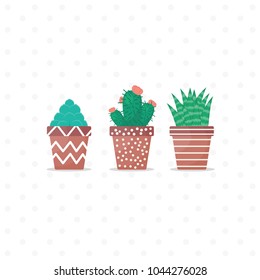 Cactus Plant in the pot 