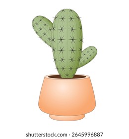 Cactus plant in a pot