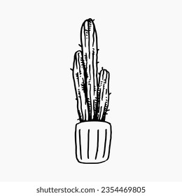 cactus plant in a pot with hand drawn style. isolated on white background. vector graphic.