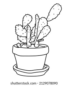 Cactus plant in a pot. Vector doodle illustration. Line art of cactus.