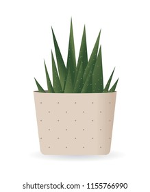 Cactus Plant In Pot. Vector illustration