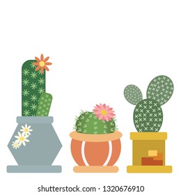 Cactus and plant pots