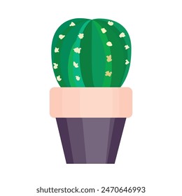 A cactus plant potted in a container on a plain white backdrop.