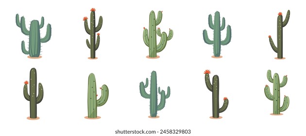 Cactus plant set, collection of cactuses tree, flat design vector illustration