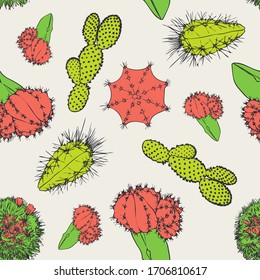 Cactus.Planta. Gracias. Patrón vectorial transparente con una planta. Dibujo manual.