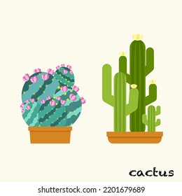 cactus plant in tiny pots in desert rocks cute vector illustration isolated on white background. Image