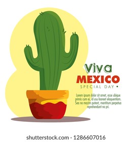 cactus plant to traditional mexico event