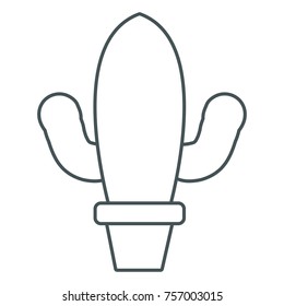 Cactus plant in vase