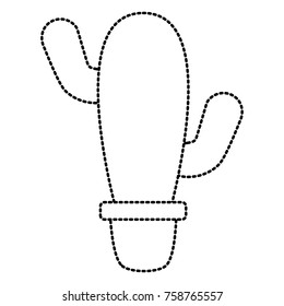 Cactus plant in vase