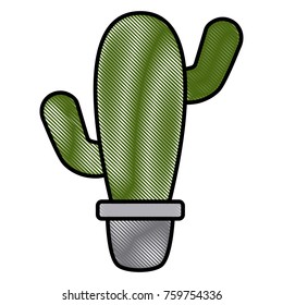 Cactus plant in vase