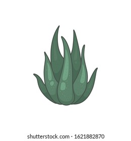 Cactus plant vector icons in cartoon style. Home cacti isolated on white background.