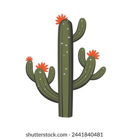 Cactus plant vector illustration, cacti clip art, cactuses image isolated on white background