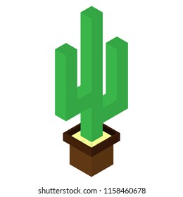 Cactus plant vector and illustration design. isolated cactus in pots on a white background. isometry