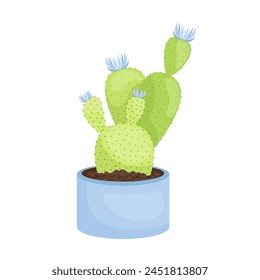  cactus plant vector illustration design