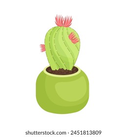  cactus plant vector illustration design