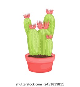  cactus plant vector illustration design