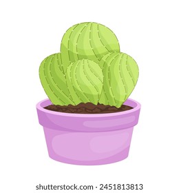  cactus plant vector illustration design