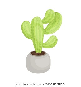  cactus plant vector illustration design