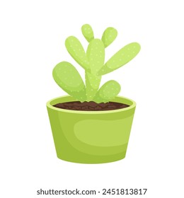  cactus plant vector illustration design