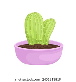  cactus plant vector illustration design