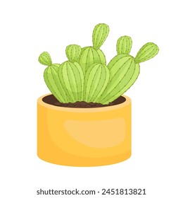  cactus plant vector illustration design