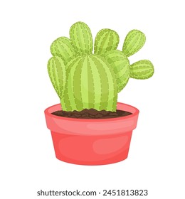  cactus plant vector illustration design