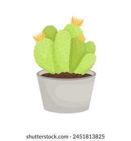  cactus plant vector illustration design