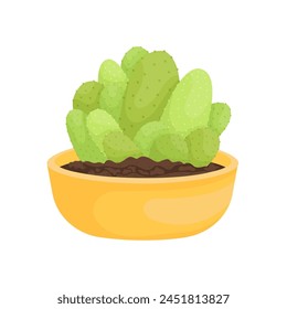  cactus plant vector illustration design