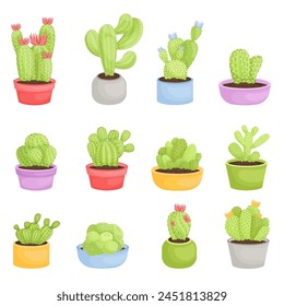  cactus plant vector illustration design