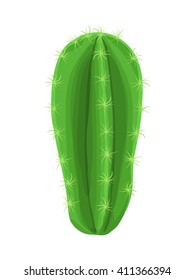 Cactus plant. Cactus vector illustration. Mexican plant