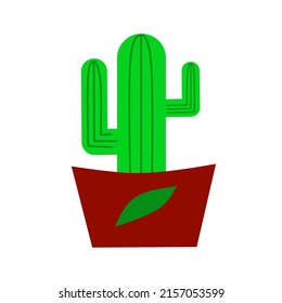 cactus plant vector in a pot