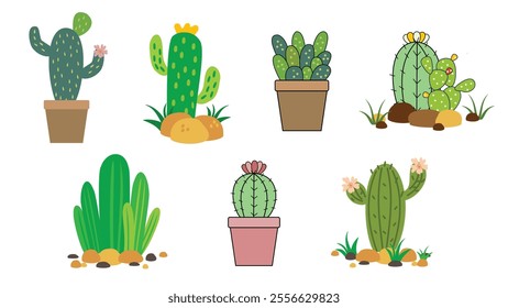 Cactus plants collection. Vector of various types of cactus plants isolated on white background