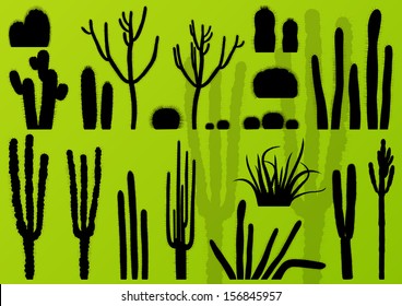 Cactus plants detailed illustration collection background vector