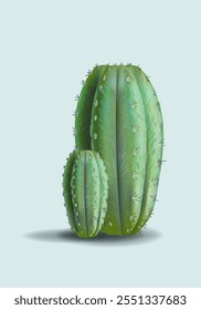 Cactus plants, floral icon vector illustration. Western desert plants design for poster, prints, banner, card and art print.