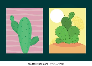 cactus plants illustrations set design