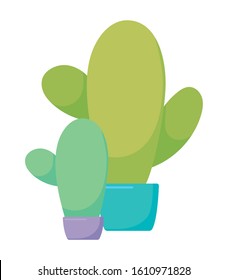Cactus plants inside pots design, Desert nature art tropical summer succulent mexico and cacti theme Vector illustration