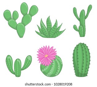 Cactus plants isolate on white background. Perfect for invitations,greeting cards,quotes,pattern,bouquet,T-Shirt, logos, Birthday cards etc