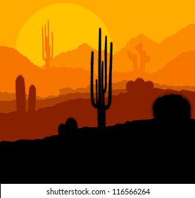 Cactus plants in Mexico desert sunset vector background