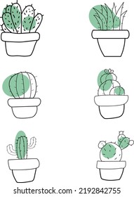 Cactus plants nature vector flower in a pot