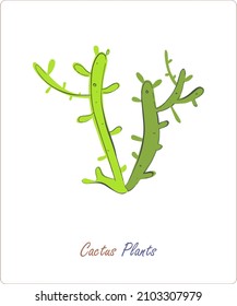 Cactus plants on a white background. Vector. A flat picture in delicate shades. Elements for the design and printing of wallpapers, sketches, patterns and textiles.