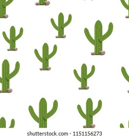 Cactus plants on white seamless background illustration. Green isolated cactus set.