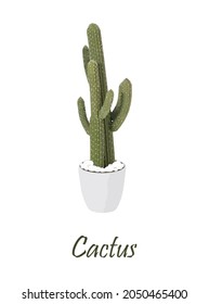 Cactus plants Realistic vector illustration isolated on white background