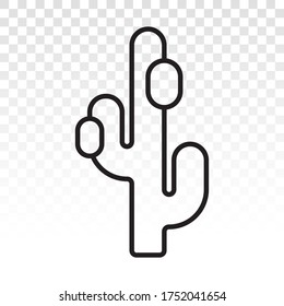 Cactus plants or saguaro cactus line art vector icons for apps and website