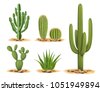 desert plants