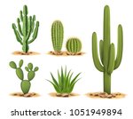 Cactus plants set of desert among sand and rocks. Realistic vector illustration isolated on white background
